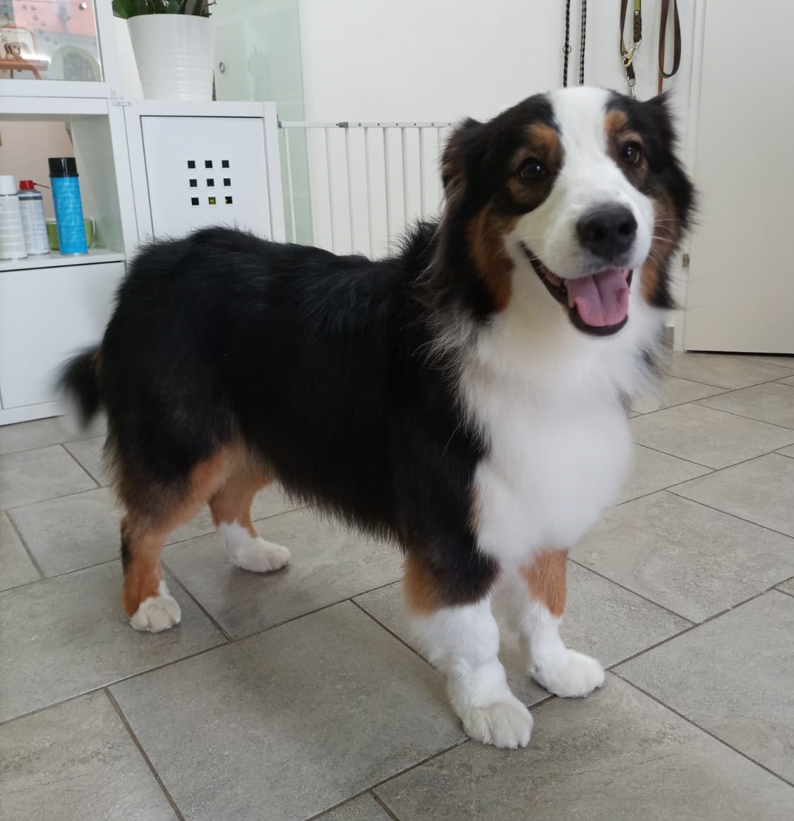 Bucky nachher